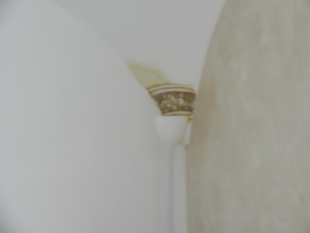 My Suite Sorrento Room photo